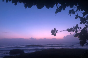 image-04-01-21-09-58-3