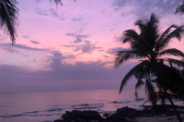 image-04-01-21-09-58-4