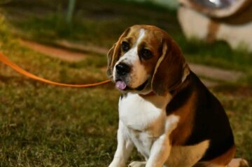 498d44a8-595c-4d45-925a-1da527bf6633