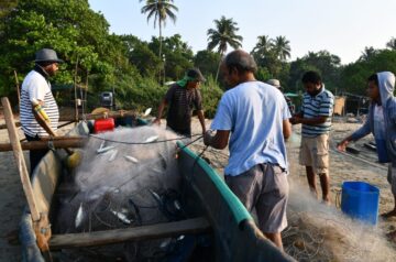 d524b1aa-dc46-490d-a9b9-7bfc216bfd82