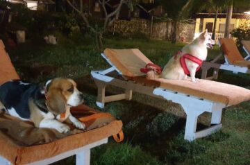 eb706c4e-214f-4e80-991f-ed39209d25cb